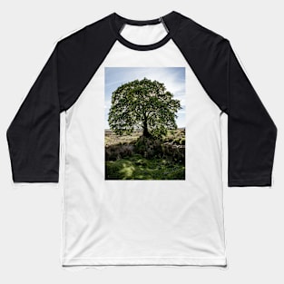 Sally Gap Tree Baseball T-Shirt